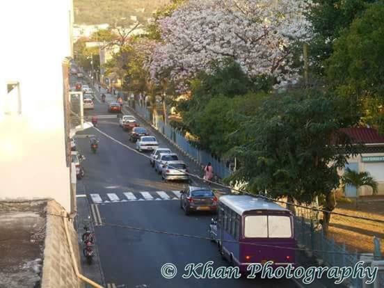 La Plaine Verte Guesthouse Port Louis Buitenkant foto